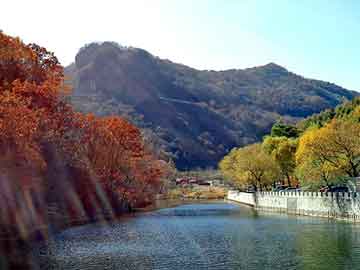 新澳门二四六天天彩，风水相师小说